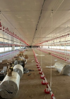 Lã de Vidro para Coberturas - IsoFelt Agro